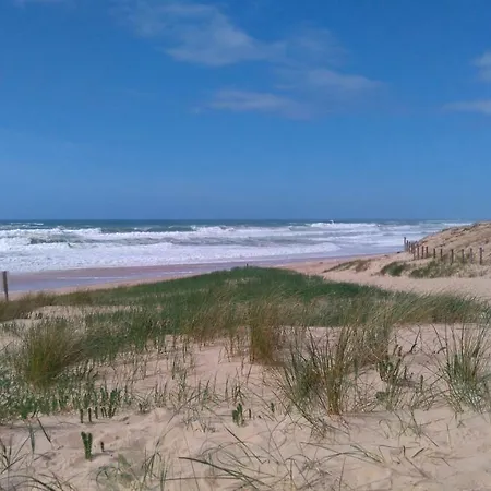 Camping Les Dunes De Contis 4 Etoiles *