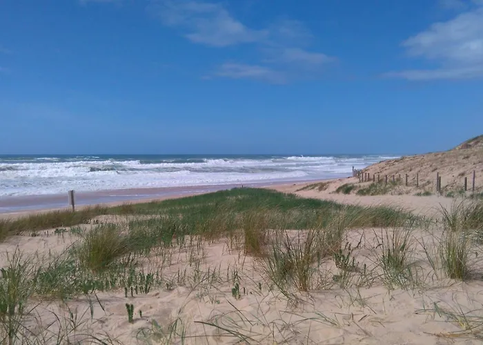 Les Dunes De Contis 4 Etoiles Camping Saint-Julien-en-Born